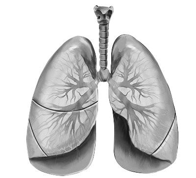 pulmones_asma