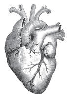 corazon_hipertension