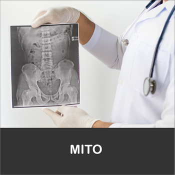 Mito Mito
