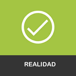 Realidad