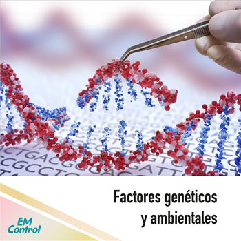 Factores genéticos y ambientales  Factores genéticos y ambientales
