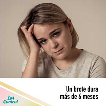 Un brote dura más de 6 meses Un brote dura más de 6 meses